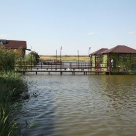 IMG 7851